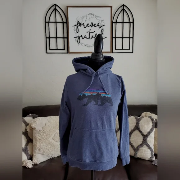 Patagonia Fitz Roy Uprisal Hoodie Outdoor Classic Hiking Size Small Retro - Picture 2 of 10